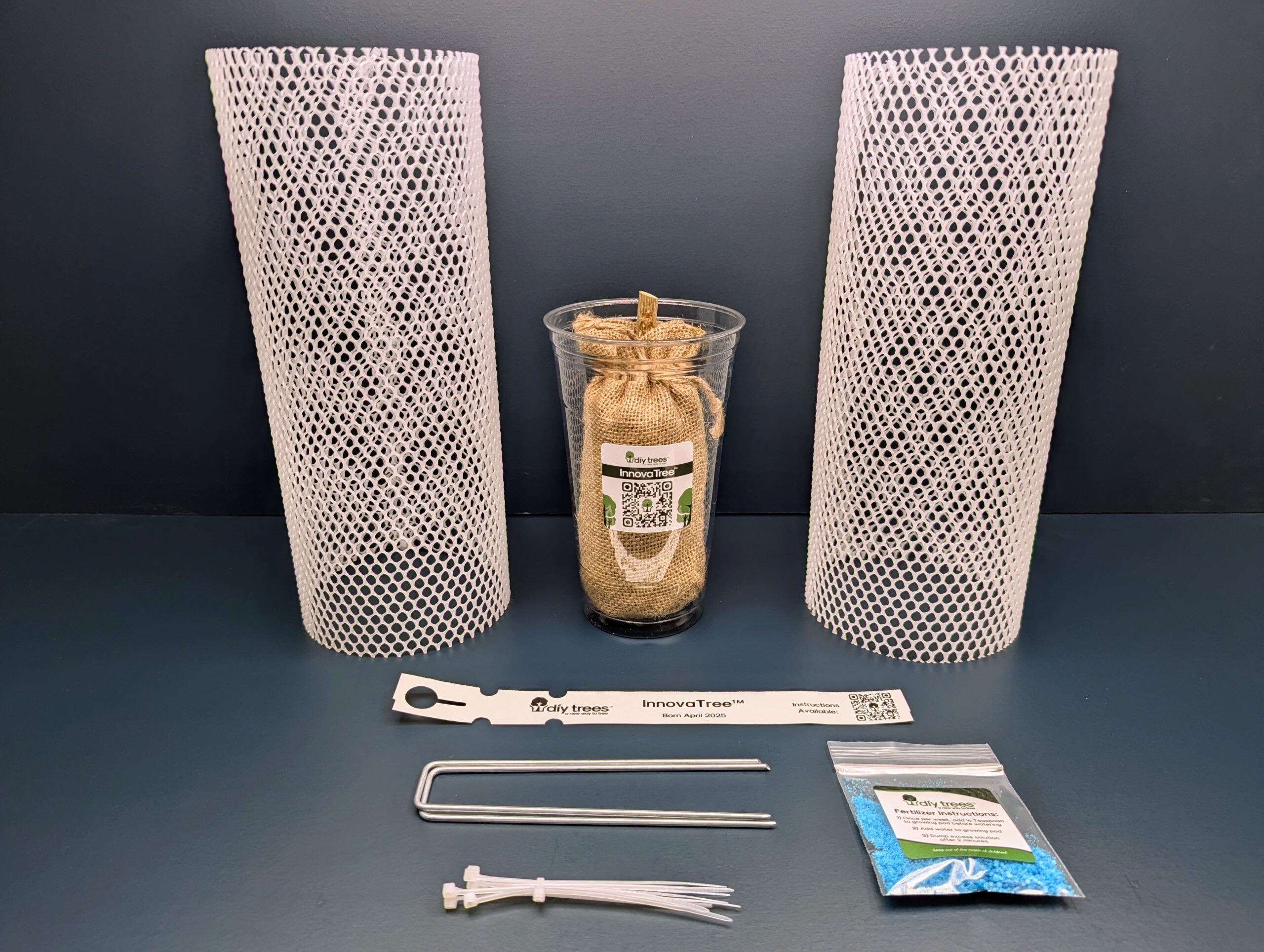 Mature InnovaTree hybrid poplar